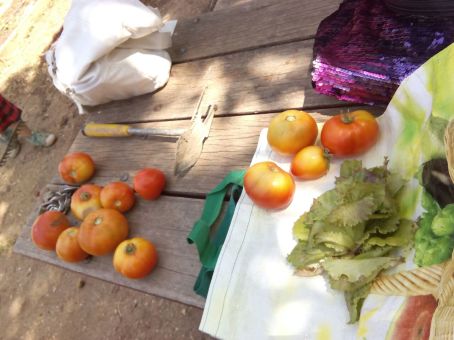 La producción de este martes!!!