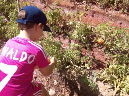 Recogiendo la Producción