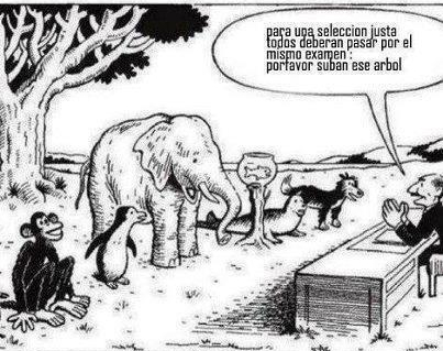 531137_559920730708104_789662752_n