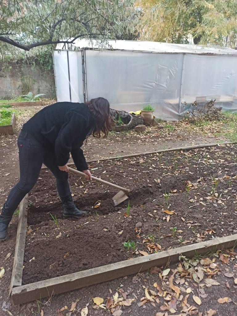 Hicimos surcos para remover la tierra