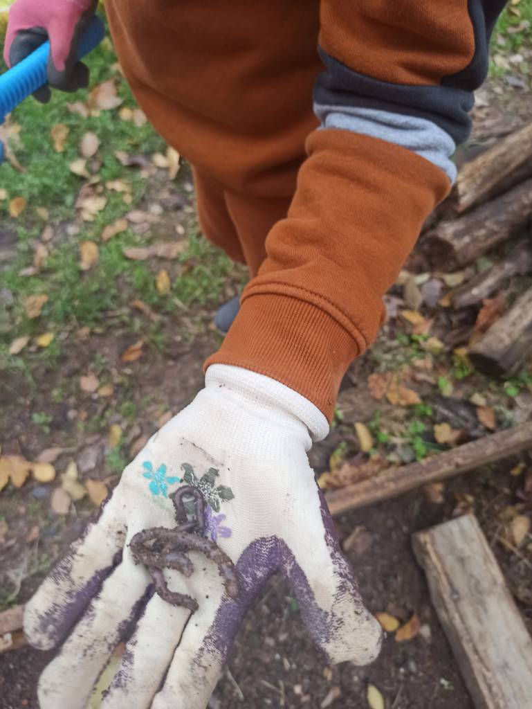 Encontramos lombrices