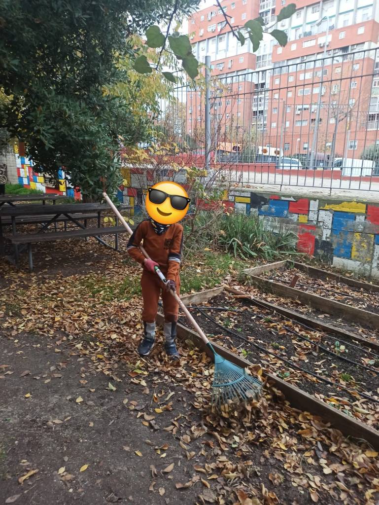 Rastrillamos las hojas caídas de los árboles