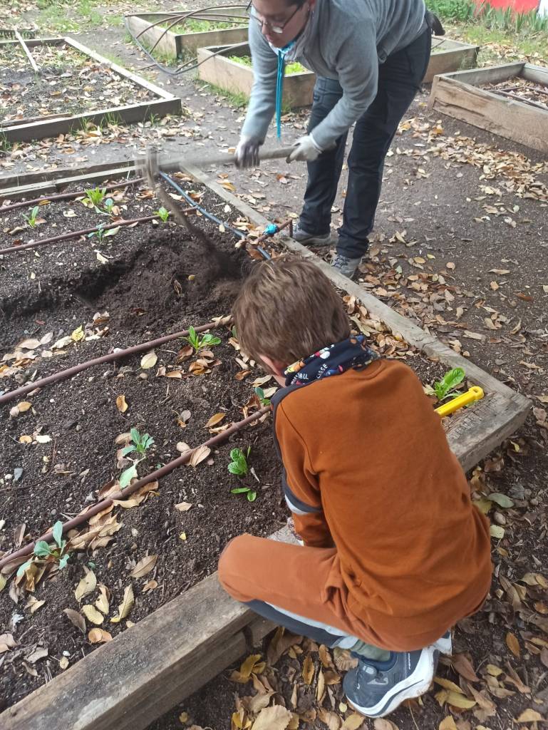 Removiendo la tierra