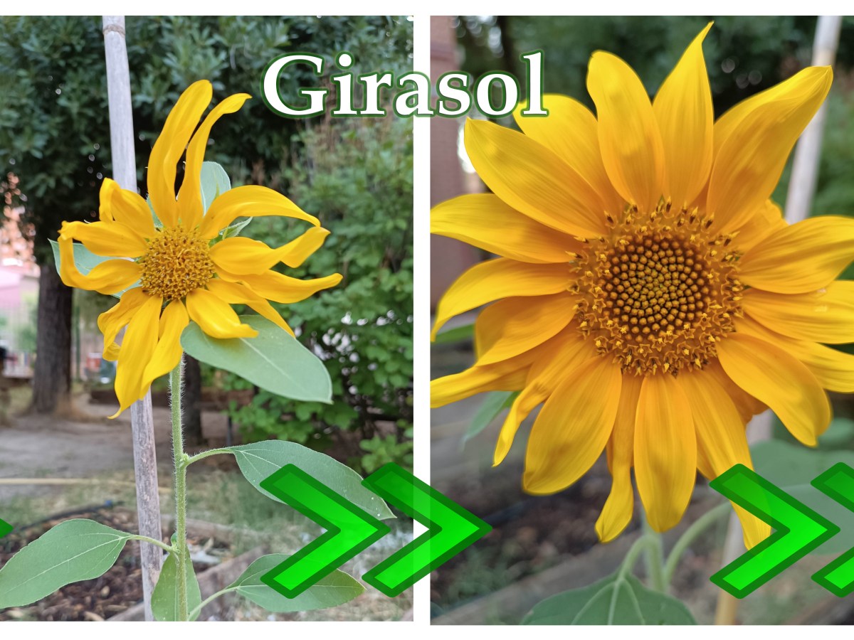 Mantenimiento de la huerta riojana durante el&nbsp;verano